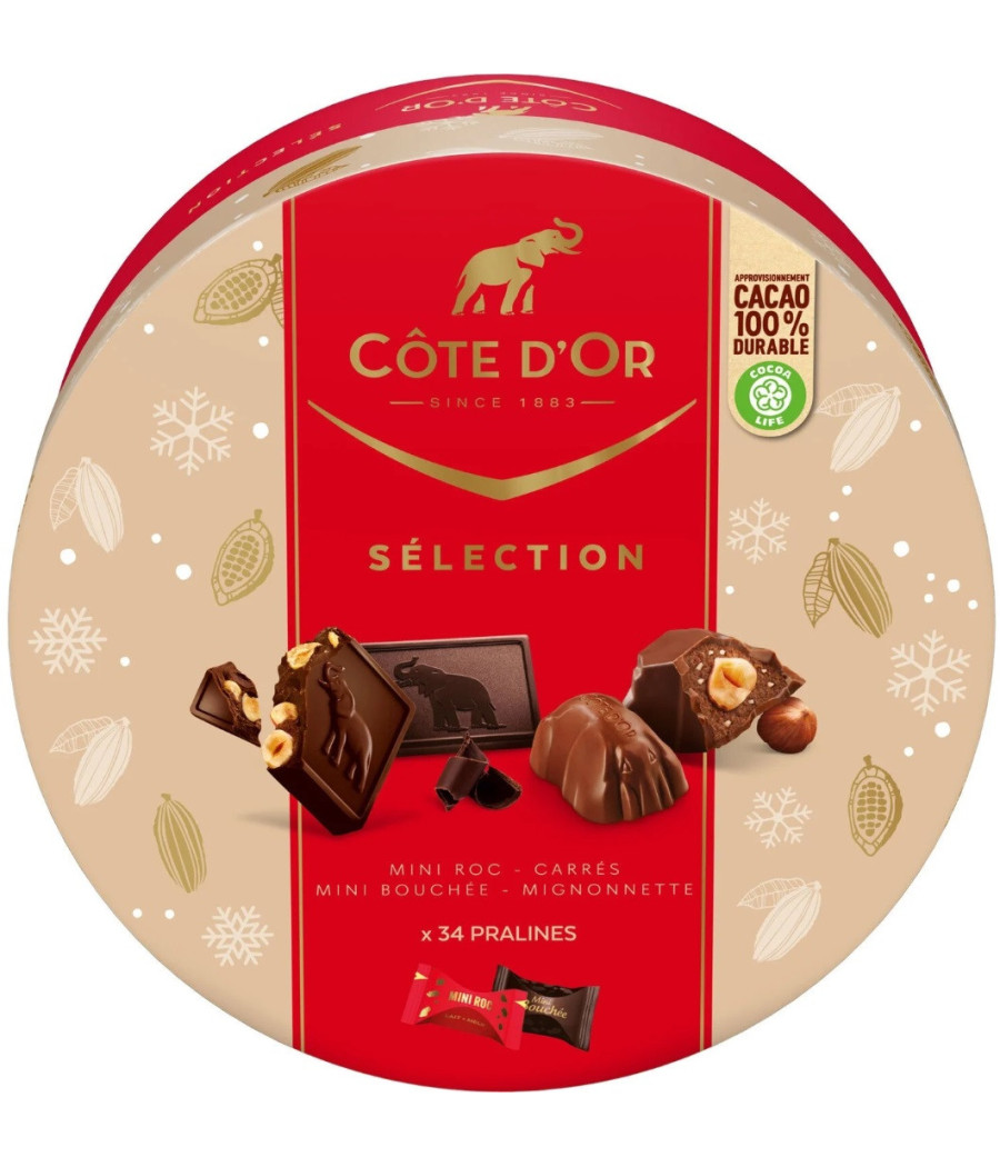 ASSORTIMENT CHOCOLATS SELECTION COTE D'OR 349G