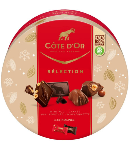 ASSORTIMENT CHOCOLATS SELECTION COTE D'OR 349G