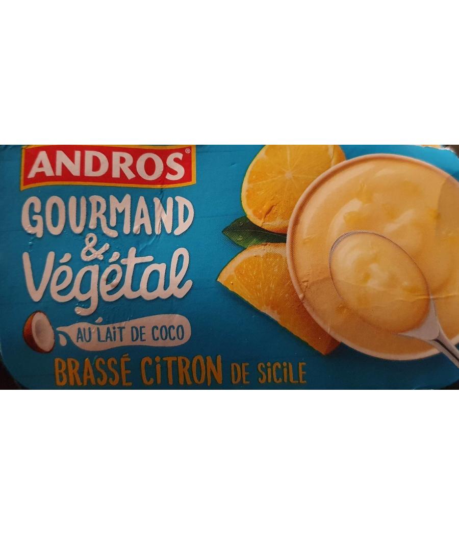 DESSERT VEGETAL BRASSE AU LAIT DE COCO ET AU CITRON ANDROS 100G