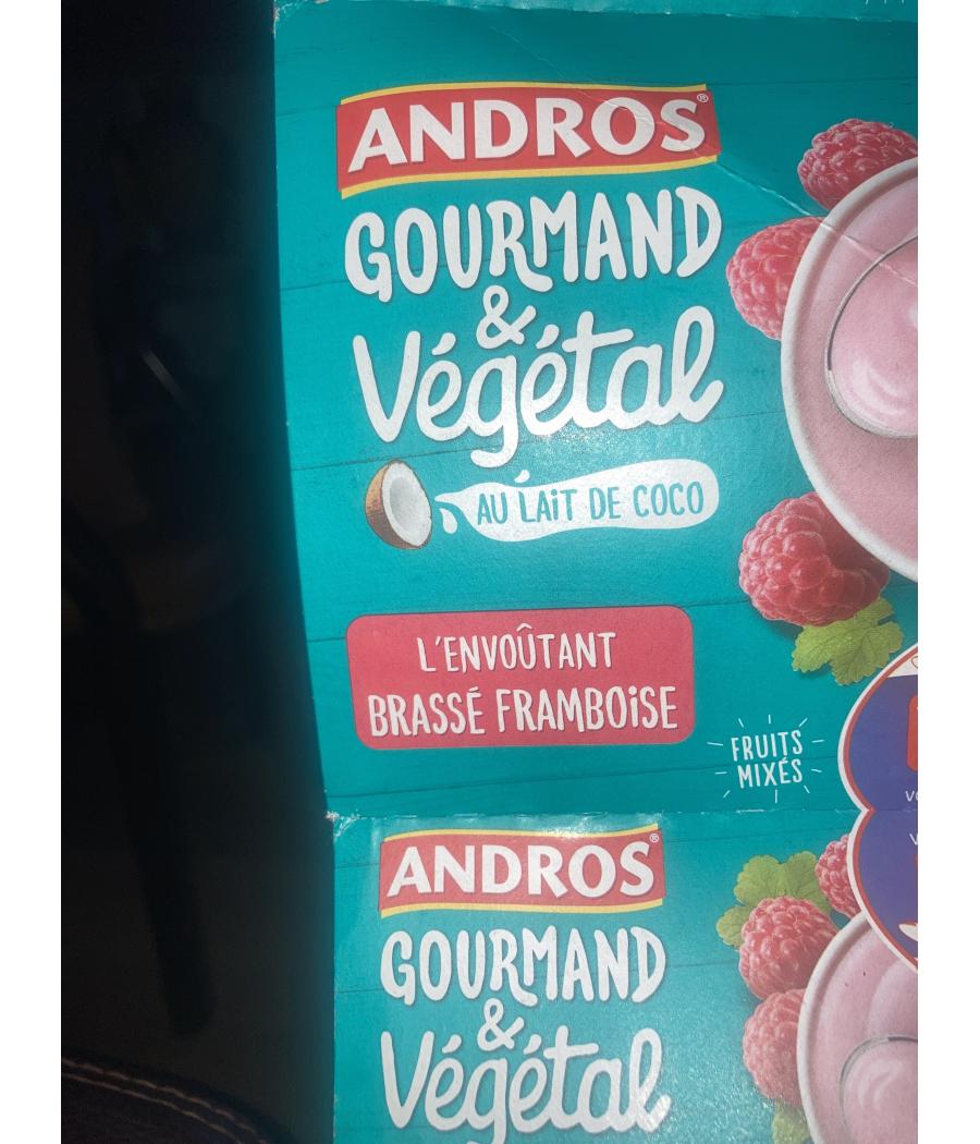 GOURMAND & VEGETAL BRASSE FRAMBOISE 4 * 100G