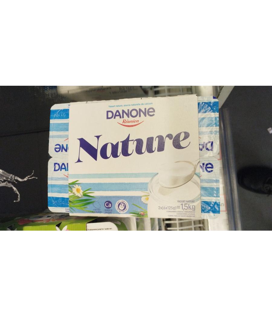 YAOURTS NATURE DANONE REUNON 6X125G