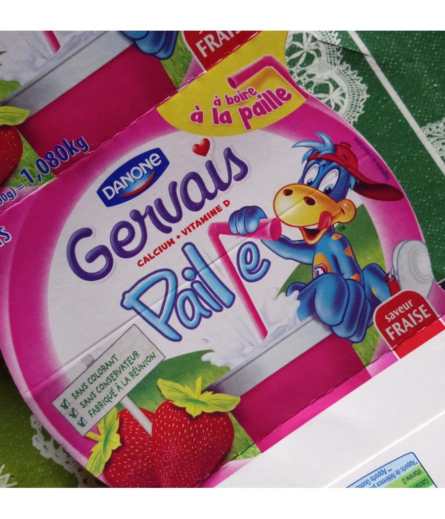 SAVEUR FRAISE GERVAIS PAILLE 1.080 KG