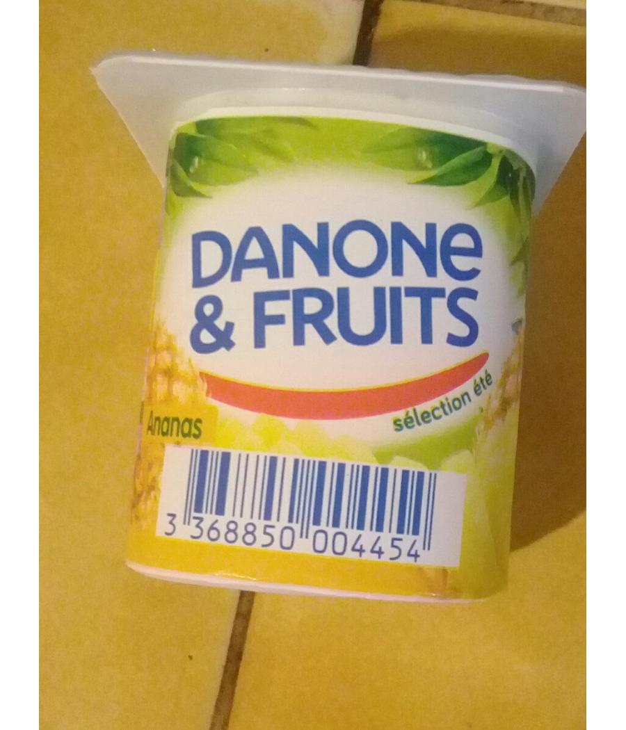 YAOURT AUX FRUITS CUEILLETTE 6 X 12