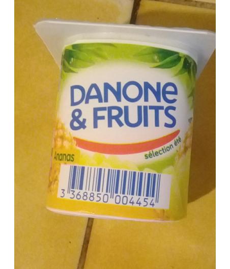 YAOURT AUX FRUITS CUEILLETTE 6 X 12