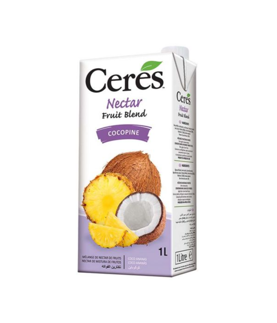 JUS DE FRUITS ANANAS COCO BLEND NECTAR 1L