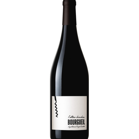 VIN BOURGUEIL 75CL