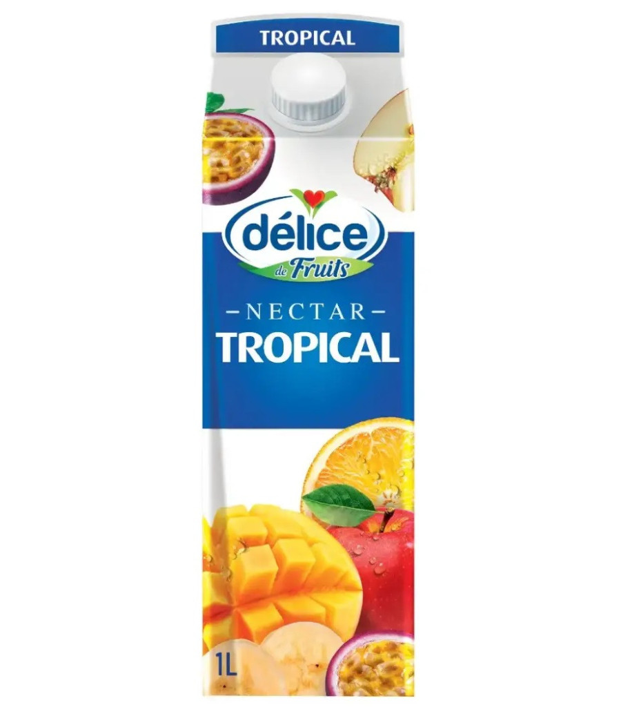 JUS NECTAR TROPICAL DELICE DE FRUITS 1L