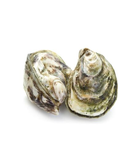 HUITRE POUSSES EN CLAIRE LAMBERT N2 48 PIECES ELEVAGE FRANCE 5 KG PACK DE 5