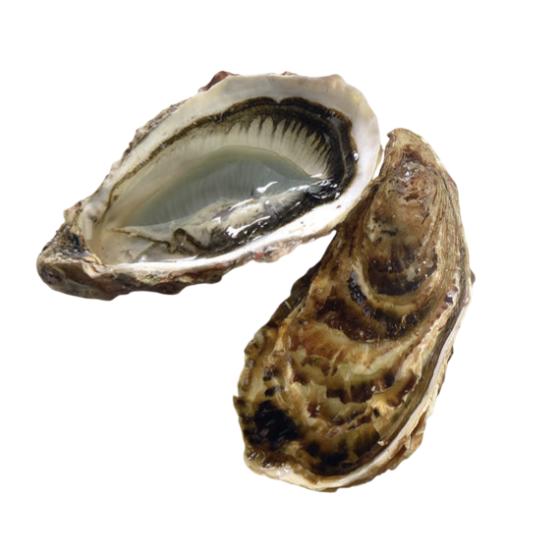 HUITRE MARENNES LABEL ROUGE LAMBERT N3 48 PIECES ELEVAGE FRANCE 4 KG PACK DE 4