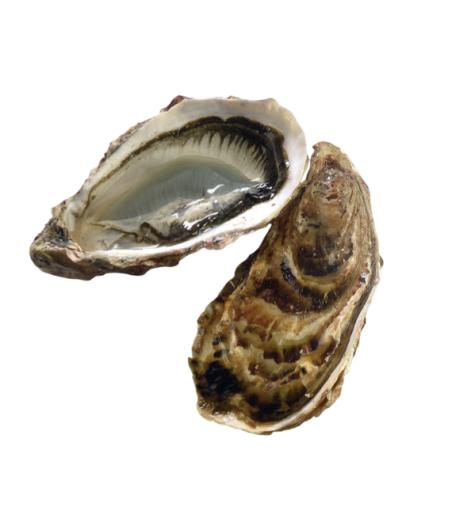 HUITRE MARENNES LABEL ROUGE LAMBERT N3 48 PIECES ELEVAGE FRANCE 4 KG PACK DE 4