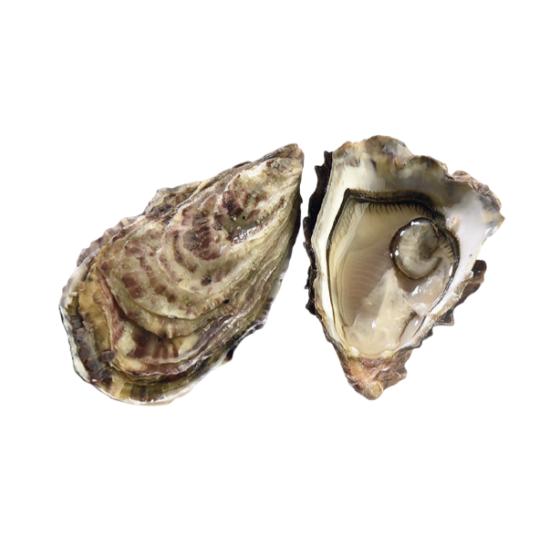 HUITRE FINE DE CLAIRE CALIBRE N3 48 PIECES ELEVAGE FRANCE 4 KG PACK DE 4