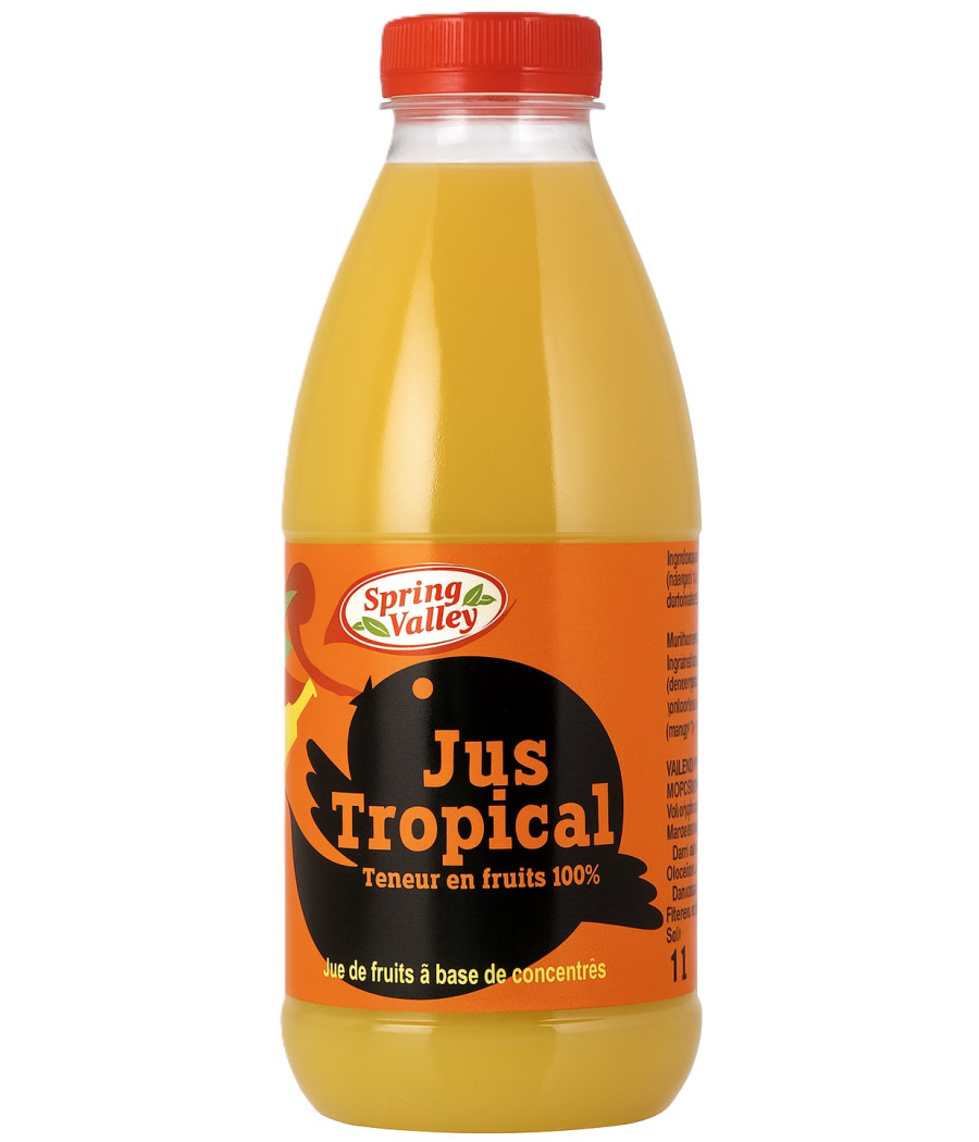 JUS DE FRUITS TROPICAL SPRING VALLEY 0.5L