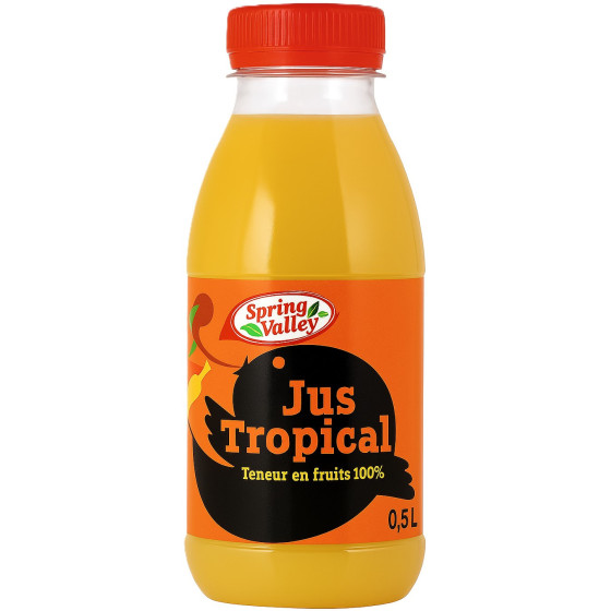 JUS DE FRUITS TROPICAL SPRING VALLEY 0.5L
