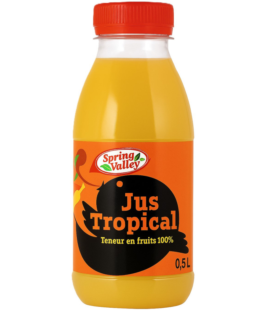 JUS DE FRUITS TROPICAL SPRING VALLEY 0.5L