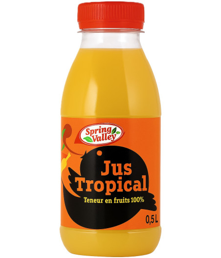 JUS DE FRUITS TROPICAL SPRING VALLEY 0.5L