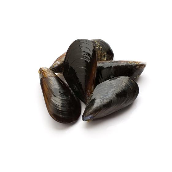MOULE DE CORDE D'ESPAGNE TRES GROSSE MOINS DE 30 PIECES/KG ELEVAGE ESPAGNE SAC DE 3 KG PACK ...