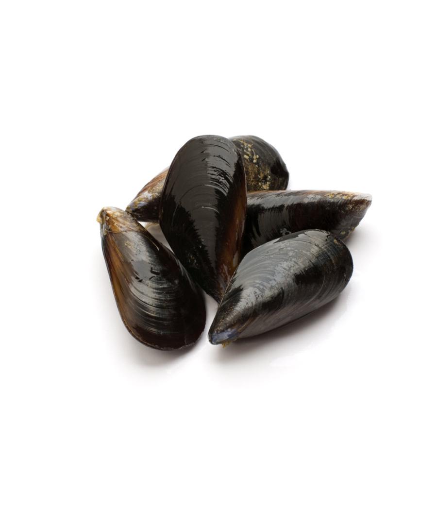 MOULE DE CORDE D'ESPAGNE TRES GROSSE MOINS DE 30 PIECES/KG ELEVAGE ESPAGNE SAC DE 3 KG PACK ...