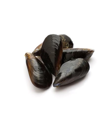 MOULE DE CORDE D'ESPAGNE TRES GROSSE MOINS DE 30 PIECES/KG ELEVAGE ESPAGNE SAC DE 3 KG PACK ...