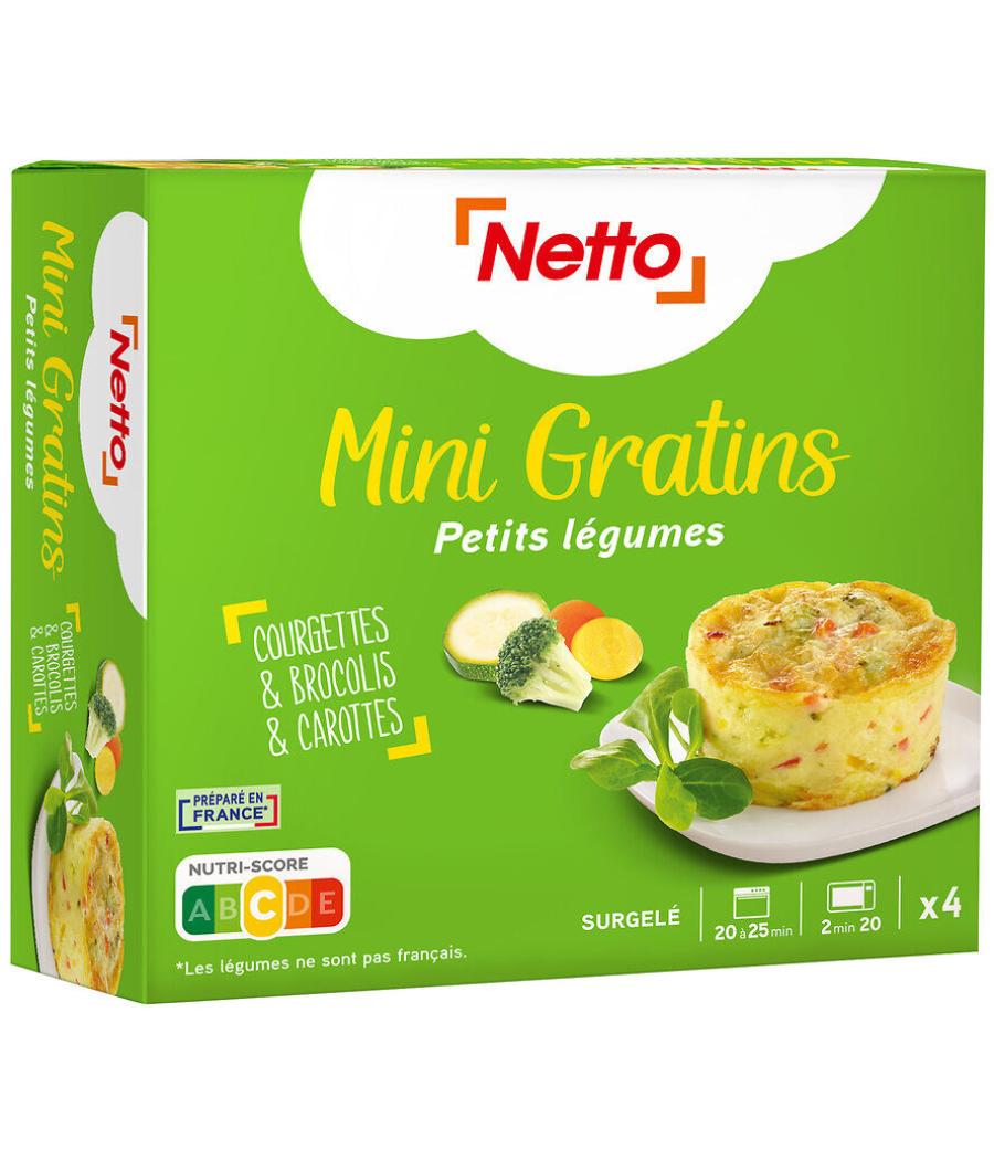 MINI GRATINS PETITS LEGUMES NETTO X4 480G