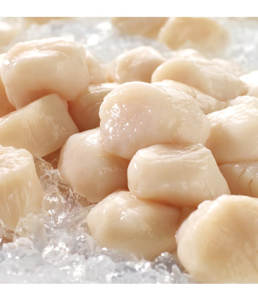 NOIX DE ST JACQUES CORAILLEE SOUS VIDE PECHE EN ATLANTIQUE NORD-EST SACHET