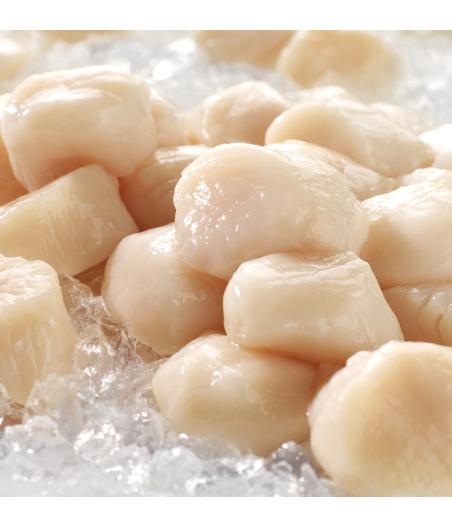 NOIX DE ST JACQUES CORAILLEE SOUS VIDE PECHE EN ATLANTIQUE NORD-EST SACHET