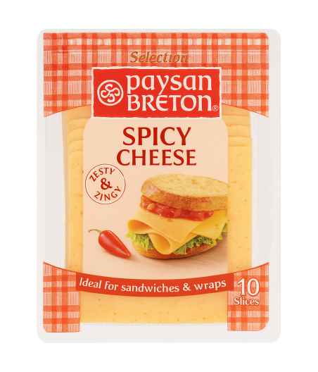 FROMAGE EN TRANCHE  EPICE PAYSAN BRETON 160G