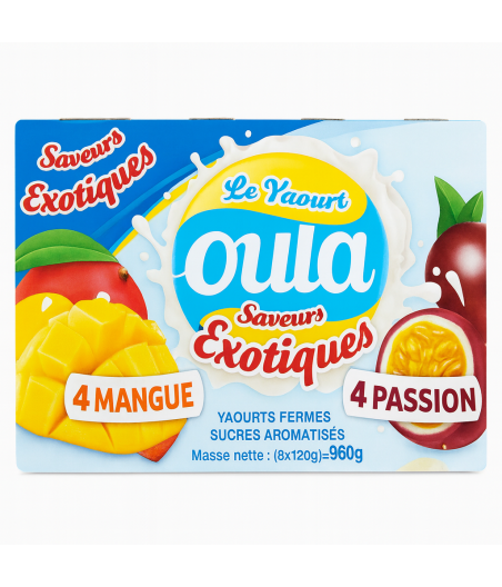 YAOURT FRUITE SAVEUR EXOTIQUE OULA  8X120G