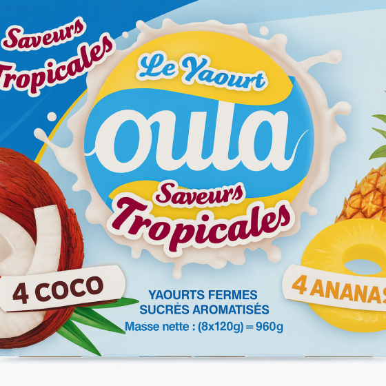 YAOURT SAVEURS TROPICALES OULA 8X120G