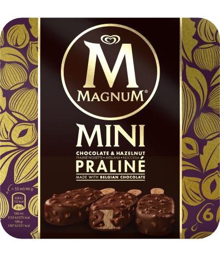 Mini Bâtonnet glacé Magnum chocolat  HAZELNUT PRALINE 276 G