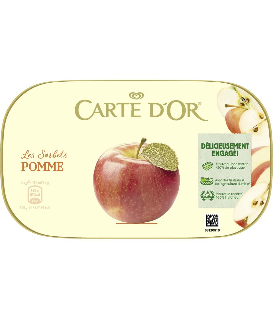 SORBET POMME CARTE D'OR 585G