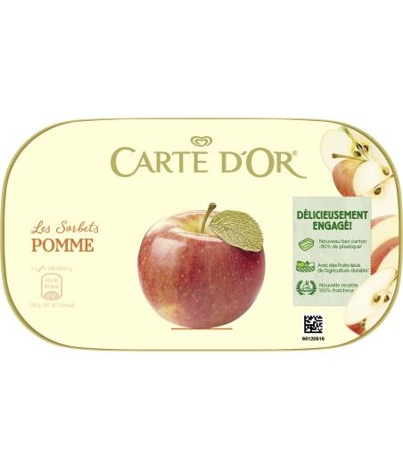 SORBET POMME CARTE D'OR 585G