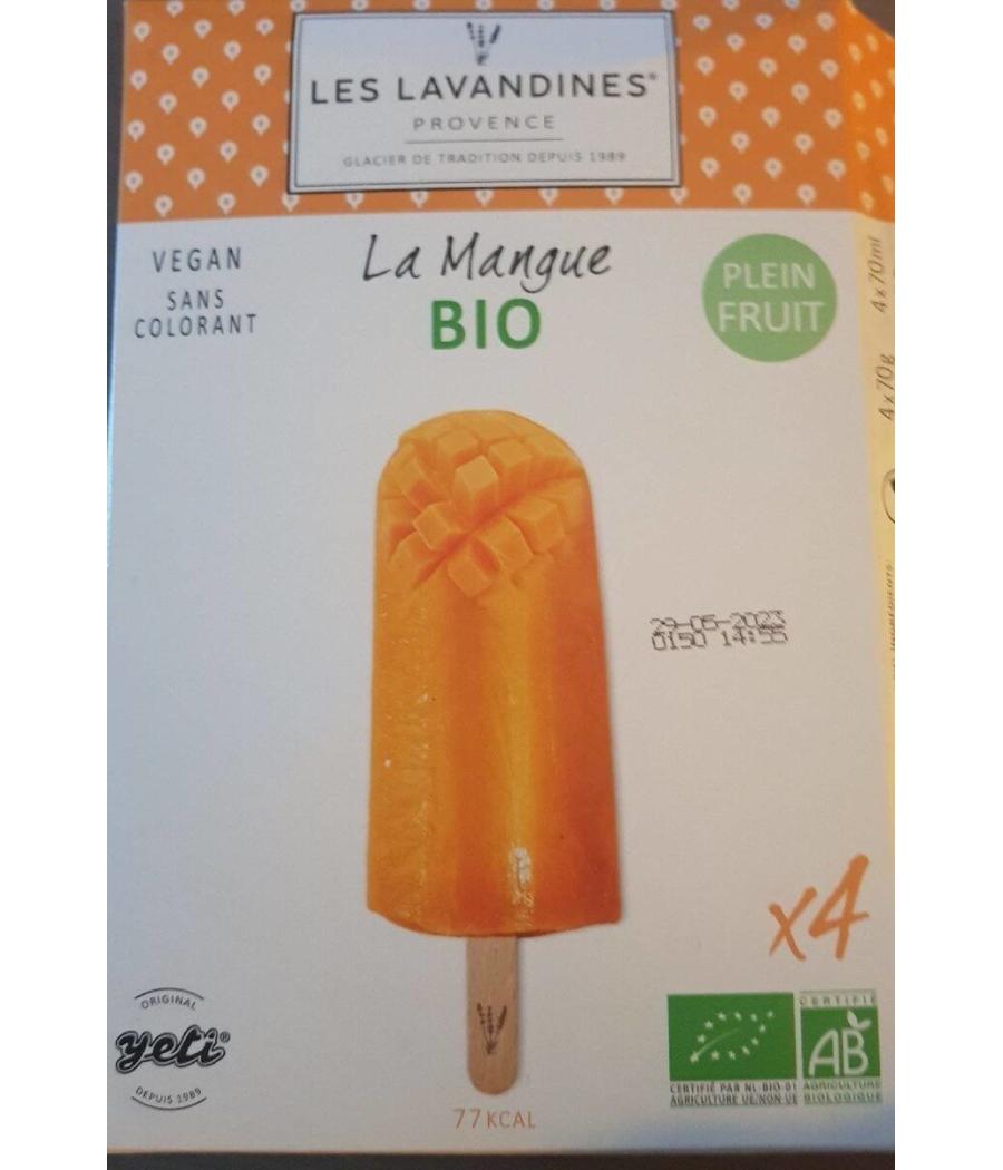 GLACE MANGUE BIO 280G