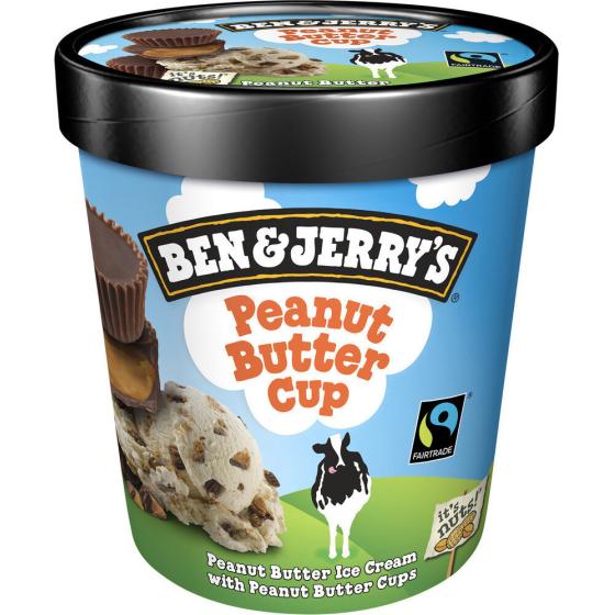 GLACE POT PEANUT BUTTER CUP CACAHUETE 431 G