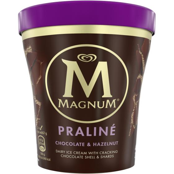 CREME GLACE  CHOCOLAT ET NOISETTE PRALINE MAGNUM  297G