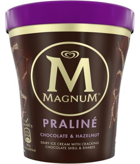 CREME GLACE  CHOCOLAT ET NOISETTE PRALINE MAGNUM  297G
