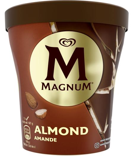 MAGNUM CREME GLACEE EN POT AMANDE 297G