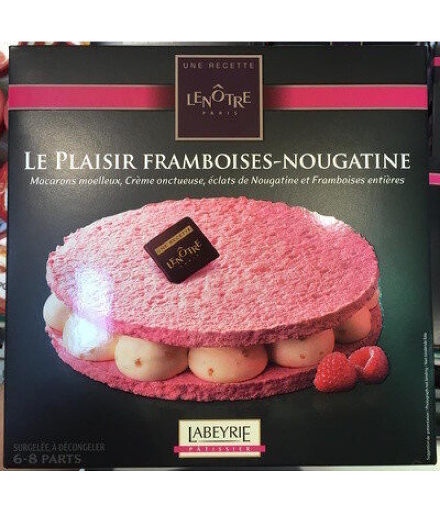 LE PLAISIR FRAMBOISES-NOUGATINE 410G