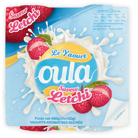 YAOURT SAVEUR LETCHI OULA 480G