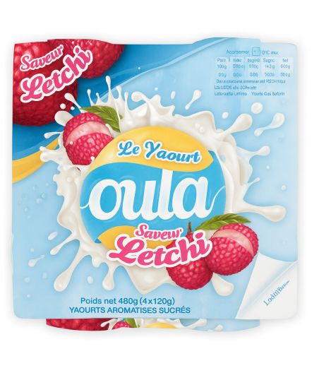 YAOURT SAVEUR LETCHI OULA 480G