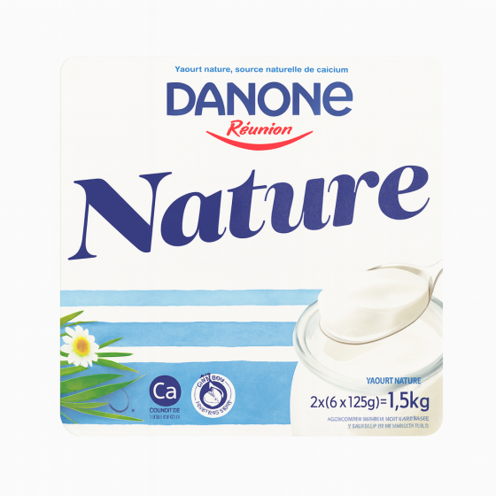 YAOURTS NATURE DANONE REUNON 6X125G