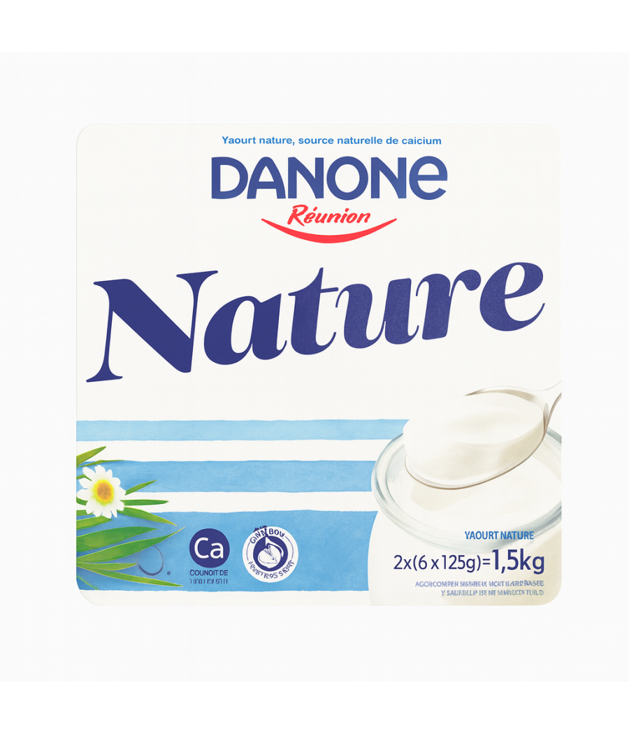 YAOURTS DANONE NATURE 6X125G