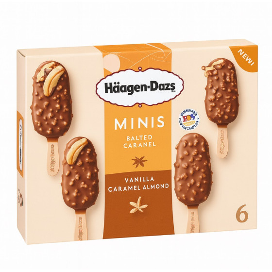 MINI HAAGEN DAZS  5 X185G