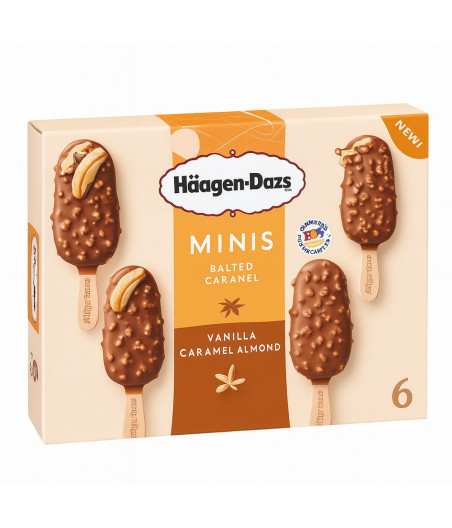 MINI HAAGEN DAZS  5 X185G