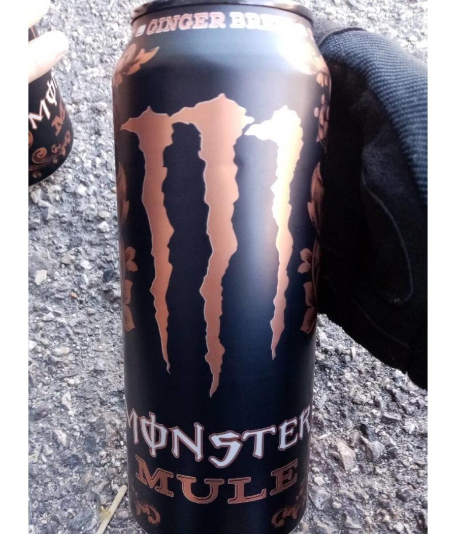 MONSTER MULE GINGER BREW 50CL