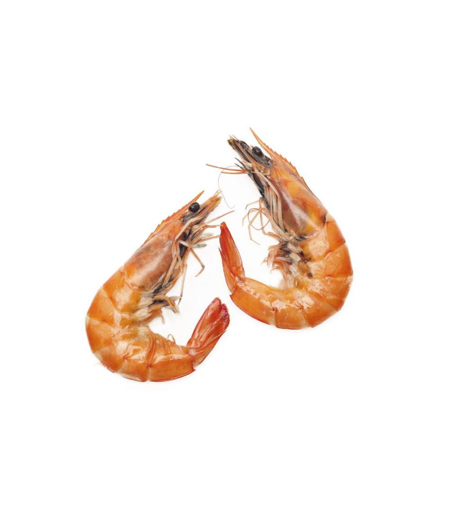 CREVETTE CUITE BIO CALIBRE 20/30 ELEVAGE MADAGASCAR COLIS 2 KG PACK DE 2