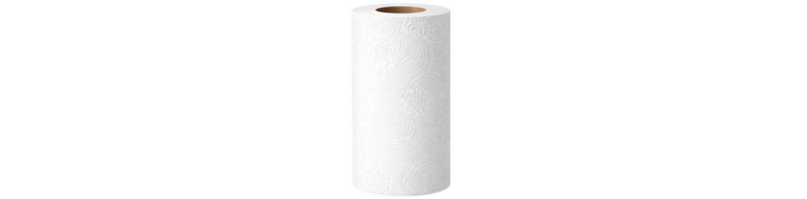Papiers - Mouchoirs - Essui tout