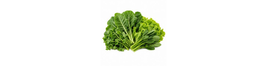 Brèdes et Légumes feuilles